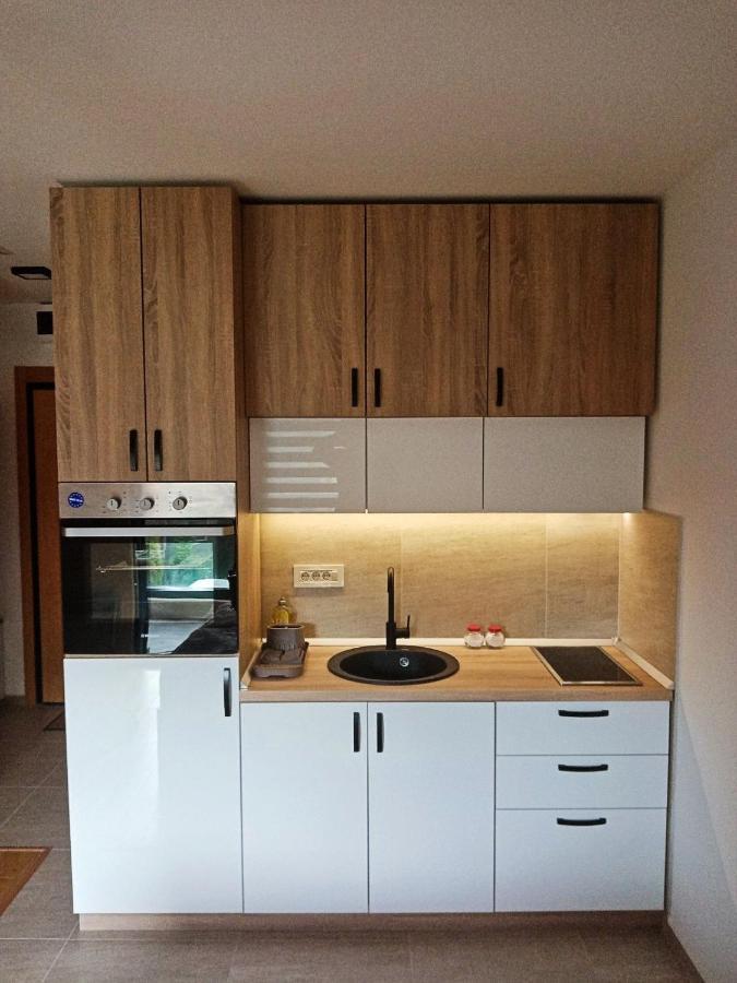 Studio Apartman Gorski Kristal Златибор Екстериор снимка